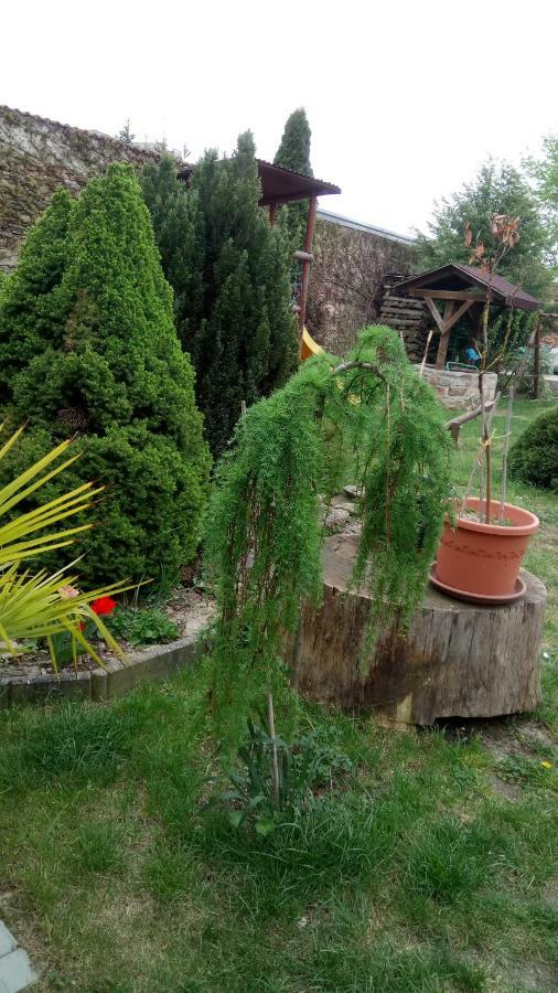 Penzion U Formana Stráž nad Nežárkou Buitenkant foto